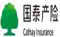 国泰财产保险logo设计含义,品牌vi设计介绍
