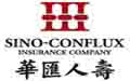 华汇人寿保险logo设计含义,品牌vi设计介绍