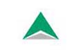 泰山财产保险logo设计含义,品牌vi设计介绍