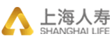 上海人寿保险logo设计含义,品牌vi设计介绍