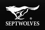 七匹狼logo设计含义,品牌vi设计介绍