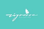 tigrisso蹀愫logo设计含义,品牌vi设计介绍
