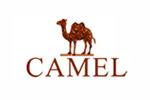 駱駝(CAMEL)logo設計含義,品牌vi設計介紹