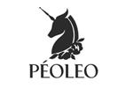 PEOLEO飘蕾logo设计含义,品牌vi设计介绍