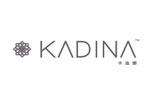 卡迪娜logo设计含义,品牌vi设计介绍