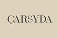 CARSYDAlogo设计含义,品牌vi设计介绍