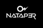 Nataperlogo设计含义,品牌vi设计介绍
