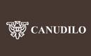 Canudilologo设计含义,品牌vi设计介绍