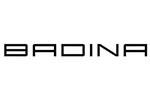 BADINA芭蒂娜logo设计含义,品牌vi设计介绍