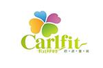 卡尔菲特logo设计含义,品牌vi设计介绍