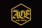 A.C.E.logo设计含义,品牌vi设计介绍
