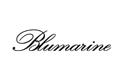 Blumarinelogo设计含义,品牌vi设计介绍