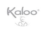 Kaloologo设计含义,品牌vi设计介绍