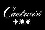 caetwir卡地亚logo设计含义,品牌vi设计介绍