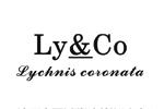 LY&COlogo设计含义,品牌vi设计介绍