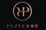​PUZECK普哲logo设计含义,品牌vi设计介绍