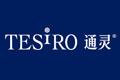 TESIRO通靈logo設計含義,品牌vi設計介紹