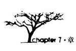 Chapter7章logo设计含义,品牌vi设计介绍