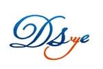 DSYE迪斯伊儿logo设计含义,品牌vi设计介绍