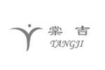 棠吉TANGJIlogo设计含义,品牌vi设计介绍
