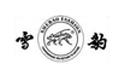雪豹logo设计含义,品牌vi设计介绍