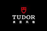 帝舵TUDORlogo設計含義,品牌vi設計介紹