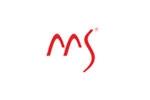 MS迈色logo设计含义,品牌vi设计介绍