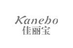 Kanebo佳丽宝logo设计含义,品牌vi设计介绍