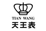 天王表logo设计含义,品牌vi设计介绍