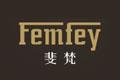 Femfeylogo設(shè)計含義,品牌vi設(shè)計介紹