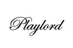 Playlordlogo设计含义,品牌vi设计介绍