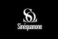 sinequanonelogo设计含义,品牌vi设计介绍