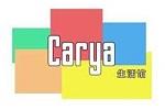 CARYAlogo设计含义,品牌vi设计介绍