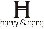 HARRY&SONSlogo設(shè)計(jì)含義,品牌vi設(shè)計(jì)介紹