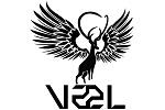 VAEL鹿腾logo设计含义,品牌vi设计介绍