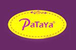 帕塔雅Patayalogo设计含义,品牌vi设计介绍