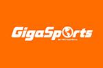 GigaSportslogo设计含义,品牌vi设计介绍