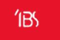 IBS牛仔logo设计含义,品牌vi设计介绍