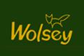金狐狸WOLSEYlogo设计含义,品牌vi设计介绍