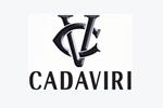 CADAVIRI卡达菲儿尼logo设计含义,品牌vi设计介绍