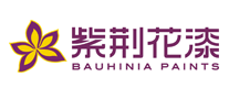 Bauhinia紫荆花漆油漆涂料标志logo设计,品牌设计vi策划