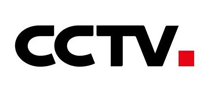 中央电视台CCTV标志logo设计_商务服务品牌vi设计