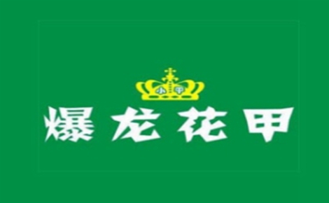爆龙花甲花甲标志logo设计