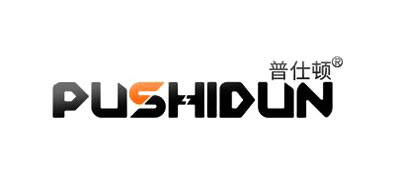 普仕頓Pushidun充電寶標(biāo)志logo設(shè)計(jì),品牌設(shè)計(jì)vi策劃