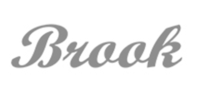 布鲁克Brook民谣吉他标志logo设计