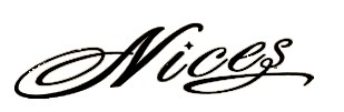 奈施Nices尤克里里标志logo设计