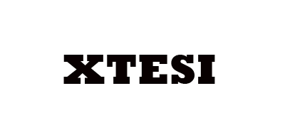 炫特斯XTESI轮胎标志logo设计