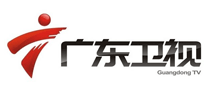 广东卫视标志logo设计_商务服务品牌vi设计
