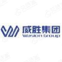 威勝信息儀器儀表logo設計，威勝信息品牌vi設計