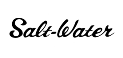 Salt Water儿童凉鞋标志logo设计